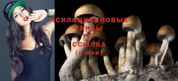СК Бронницы